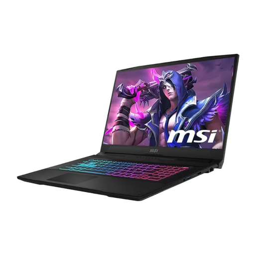 [LPEMIV9S7-17L541-257] KATANA 17 B13VFK (RTX 4060, GDDR6 8GB) RGB KEYBOARD W/MUX